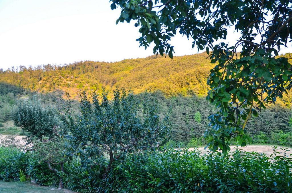 Agriturismo Cailuca 피에트라루냐 외부 사진